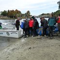 Manatees2010 (14)